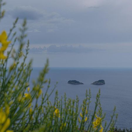 Villa La Pace Sant'Agnello Exteriér fotografie