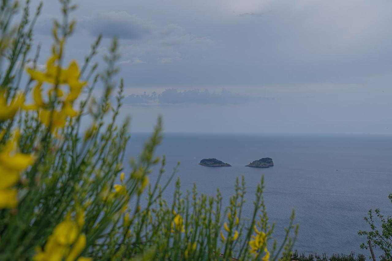 Villa La Pace Sant'Agnello Exteriér fotografie