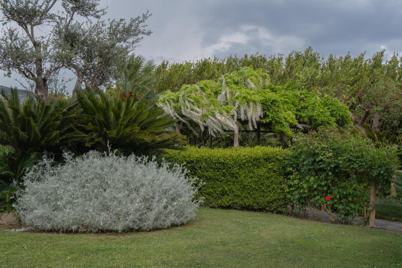 Villa La Pace Sant'Agnello Exteriér fotografie