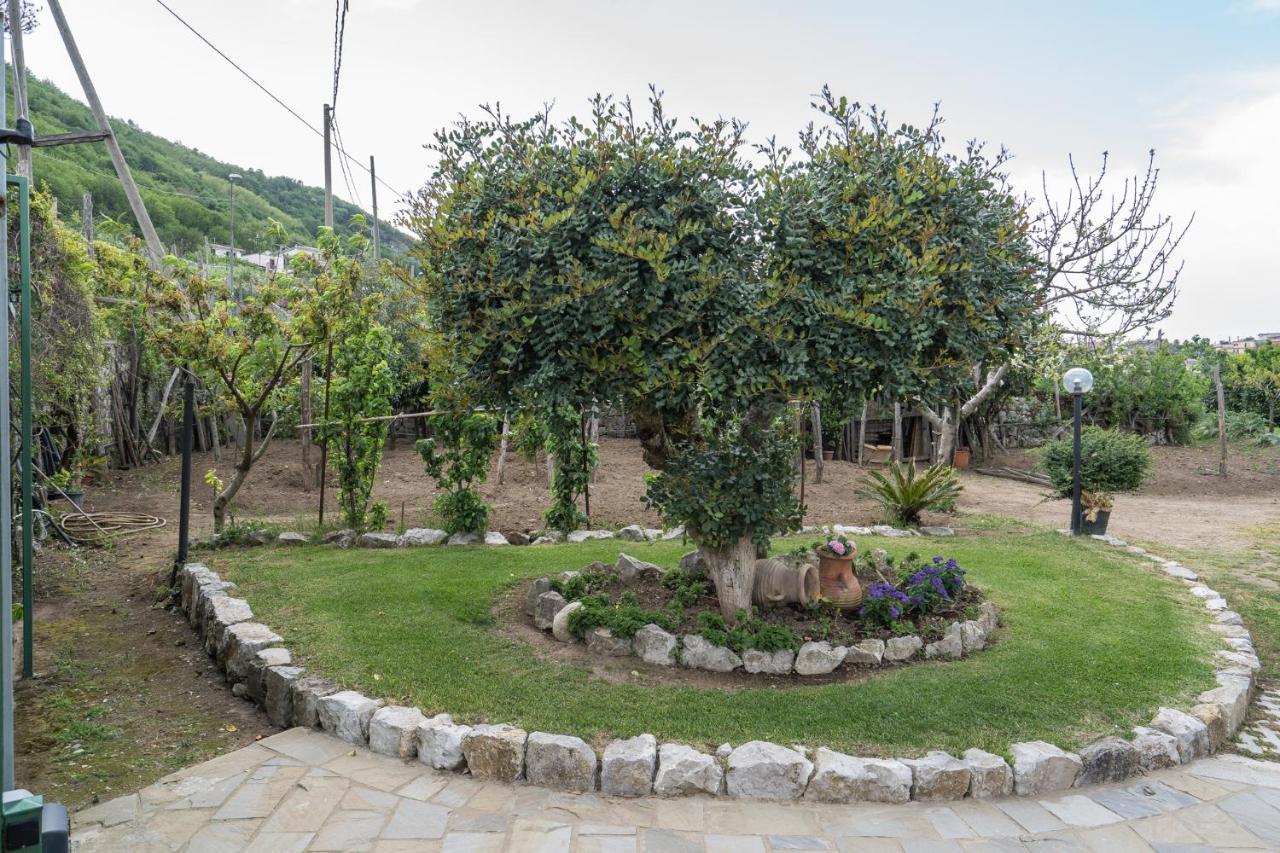 Villa La Pace Sant'Agnello Exteriér fotografie