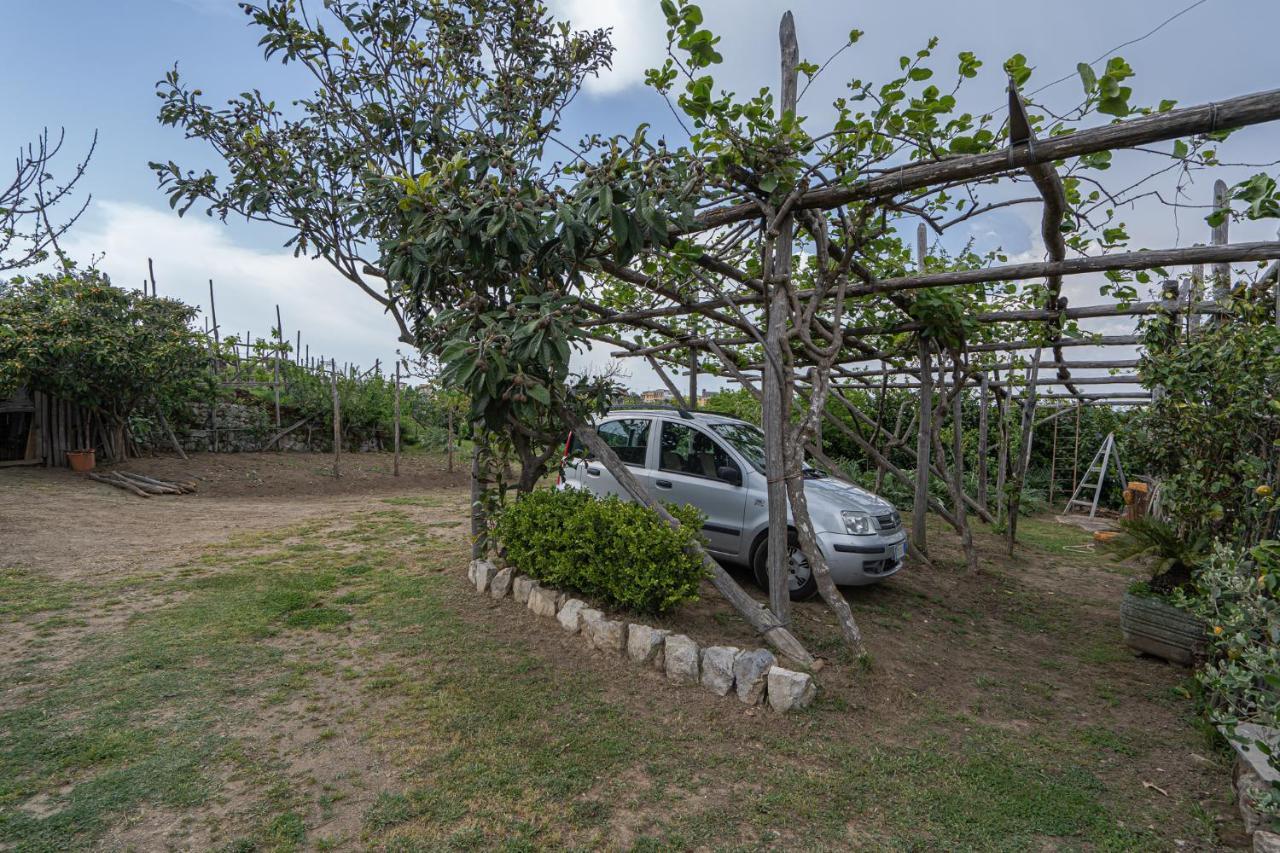Villa La Pace Sant'Agnello Exteriér fotografie