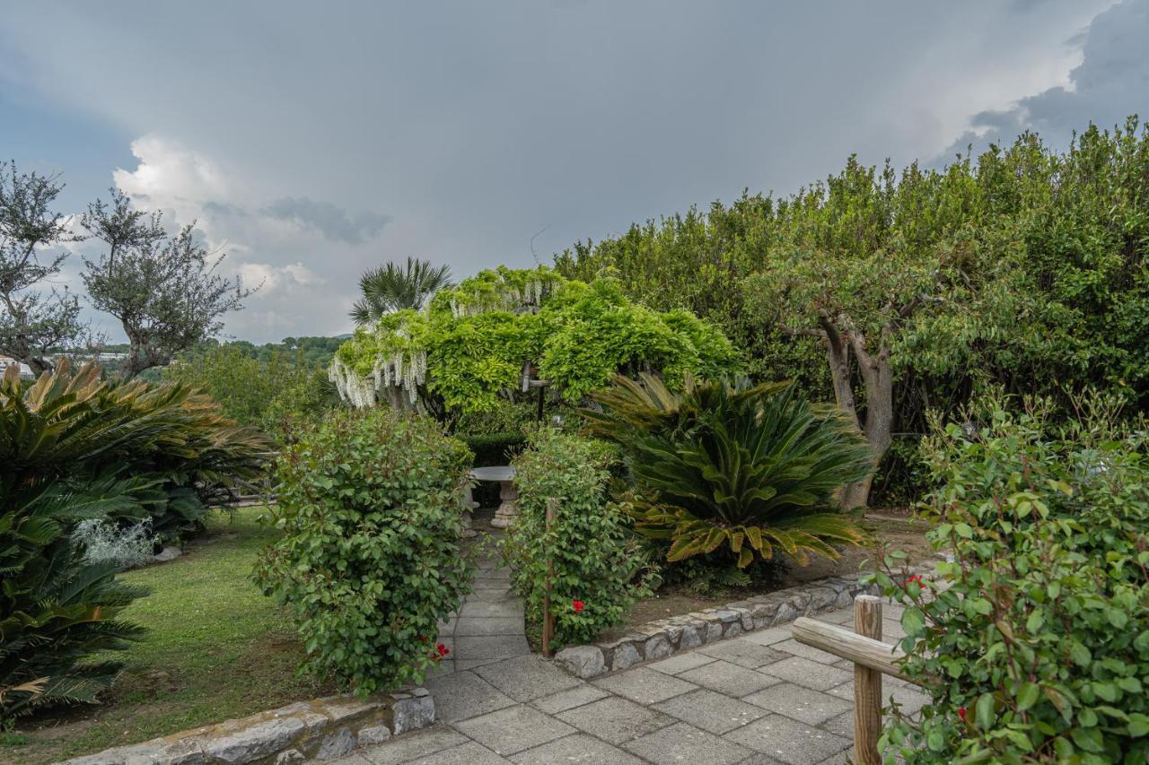 Villa La Pace Sant'Agnello Exteriér fotografie